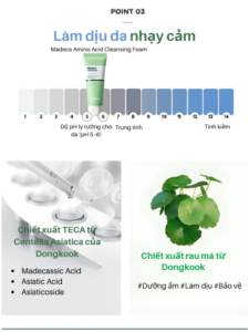 centellian24+ madeca amino acid cleansing foam 160g