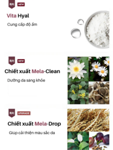 centellian24+ expert madeca mela capture ampoule max (15mlx3ea)